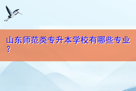 山東師范類專升本學校有哪些專業(yè)？