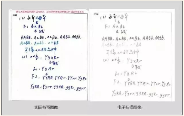 專升本考試答題中常見的錯誤及應(yīng)對措施