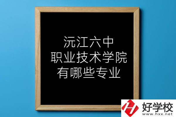 湖南沅江六中職業(yè)技術(shù)學(xué)院有哪些專業(yè)？