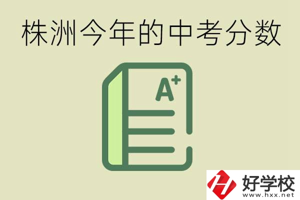 株洲今年中考多少分能上高中？沒考上有什么選擇？