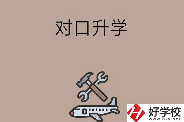 職高學(xué)生參加湖南省對口升學(xué)，有什么本科可以報考？