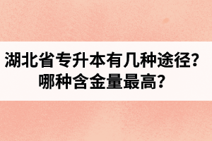 湖北省專升本有幾種途徑？哪種含金量最高？