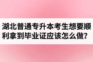 湖北普通專(zhuān)升本考生想要順利拿到畢業(yè)證應(yīng)該怎么做？