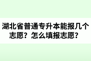 湖北省普通專升本能報(bào)幾個(gè)志愿？怎么填報(bào)志愿？