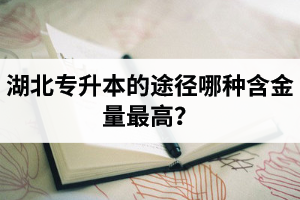 湖北普通專升本英譯漢段落翻譯分析應(yīng)該怎么做？