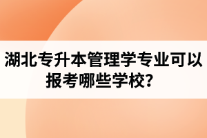 湖北專升本管理學(xué)專業(yè)可以報(bào)考哪些學(xué)校？屬于管理學(xué)的專業(yè)有哪些？