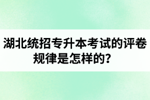 湖北統(tǒng)招專升本考試的評(píng)卷規(guī)律是怎樣的？怎么避免丟失細(xì)節(jié)分？