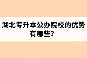 湖北專升本公辦院校的優(yōu)勢(shì)有哪些？為什么大家都想報(bào)公辦學(xué)校？