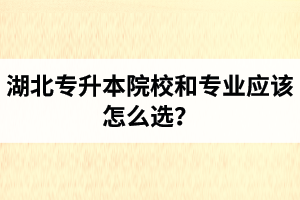 湖北專升本院校和專業(yè)應(yīng)該怎么選？公辦院校和民辦院校差別大嗎？