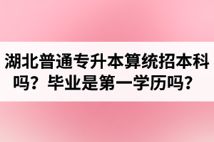 湖北普通專升本算統(tǒng)招本科嗎？專升本學歷是第一學歷嗎？