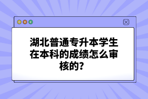 湖北普通專升本學生在本科的成績怎么審核的？