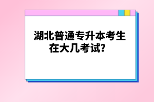 湖北普通專升本考生在大幾考試？