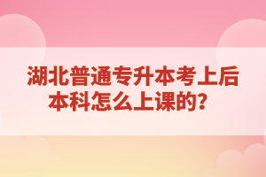 湖北普通專升本考上后本科怎么上課的？