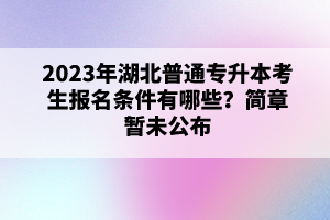 2023年湖北普通專升本考生報(bào)名條件有哪些？簡(jiǎn)章暫未公布