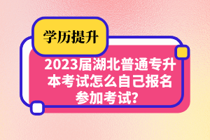 2023屆湖北普通專升本考試怎么自己報(bào)名參加考試？