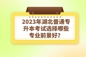 2023年湖北普通專升本考試選擇哪些專業(yè)前景好？