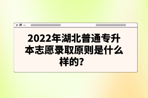 2022年湖北普通專(zhuān)升本志愿錄取原則是什么樣的？