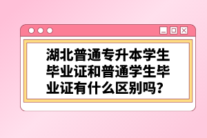 湖北普通專升本學(xué)生畢業(yè)證和普通學(xué)生畢業(yè)證有什么區(qū)別嗎？