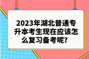 2023年湖北普通專升本考生現(xiàn)在應(yīng)該怎么復(fù)習(xí)備考呢？