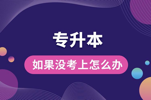 專升本如果沒(méi)考上怎么辦