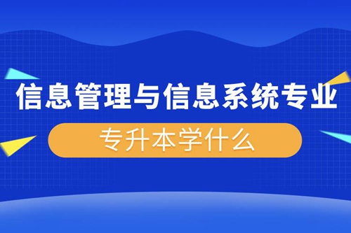 信息管理與信息系統(tǒng)專業(yè)專升本學什么