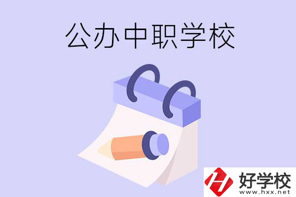 湖南公辦中職學(xué)校有哪些辦學(xué)規(guī)模比較大的？