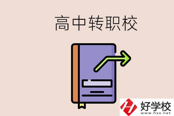 有在讀高中不想讀轉(zhuǎn)職校的例子嗎？能轉(zhuǎn)到湖南職校嗎？