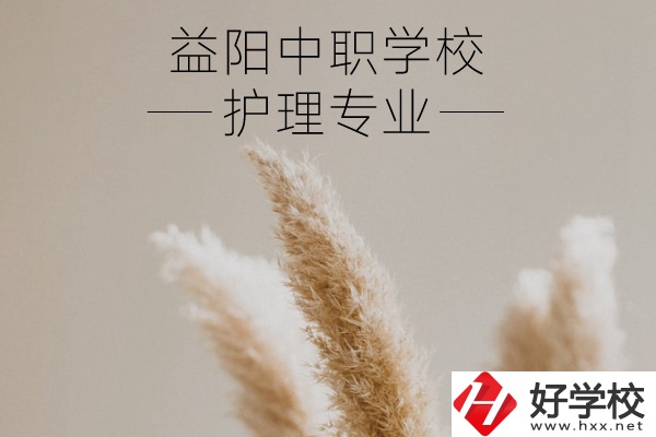 益陽護(hù)理專業(yè)的中職學(xué)校有哪些？需要哪些要求？