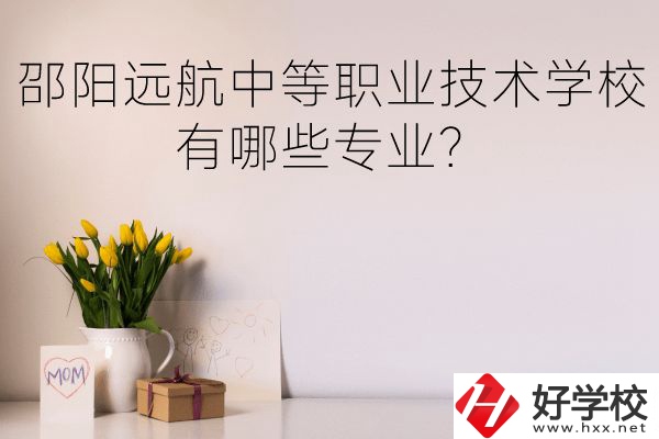 邵陽遠航中等職業(yè)技術學校有哪些專業(yè)？