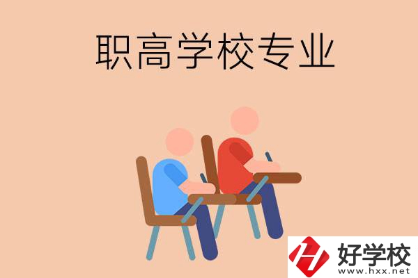 婁底新化的職高學(xué)校有哪些專業(yè)？