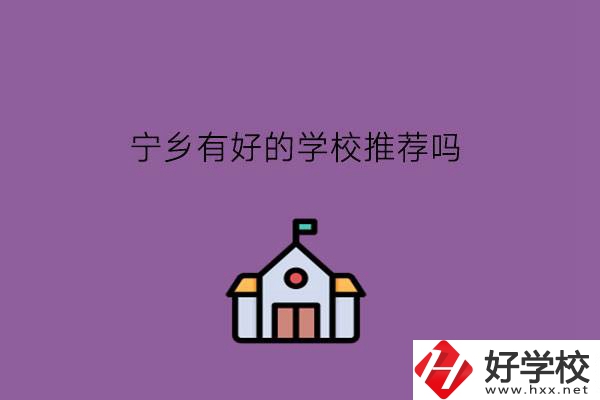 寧鄉(xiāng)有好的學校推薦嗎?學費怎么樣?