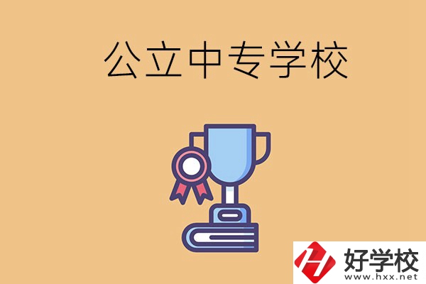 常德的公立中專學(xué)校有哪些？有什么特色？