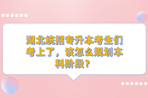 湖北統(tǒng)招專升本考生們考上了，該怎么規(guī)劃本科階段？