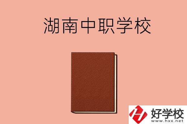 湖南有哪些就業(yè)率比較高的中職學(xué)校？