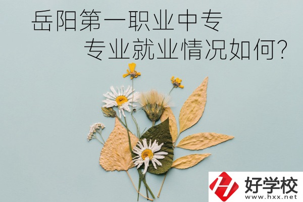 岳陽(yáng)第一職業(yè)中專有哪些專業(yè)?就業(yè)情況如何?