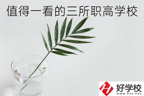 湖南有什么好的職高學(xué)校？這3所學(xué)校值得一看！