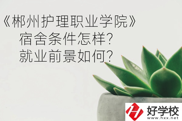 郴州護(hù)理職業(yè)學(xué)院宿舍條件怎樣？就業(yè)前景如何？