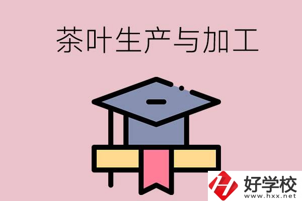 湖南哪些技校開設(shè)了茶葉生產(chǎn)與加工專業(yè)？