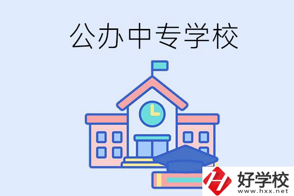 湘西一共有多少所公辦的中專學(xué)校？