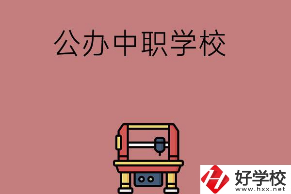 長沙可以學(xué)計(jì)算機(jī)應(yīng)用專業(yè)的公辦中職學(xué)校有哪些？