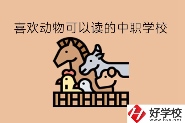 喜歡動物的學(xué)生，可以讀這些中職學(xué)校!