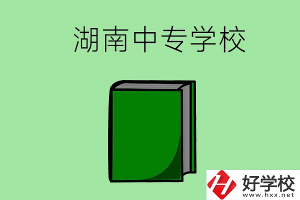 湖南的中專學(xué)校有哪些？都開設(shè)了哪些專業(yè)？