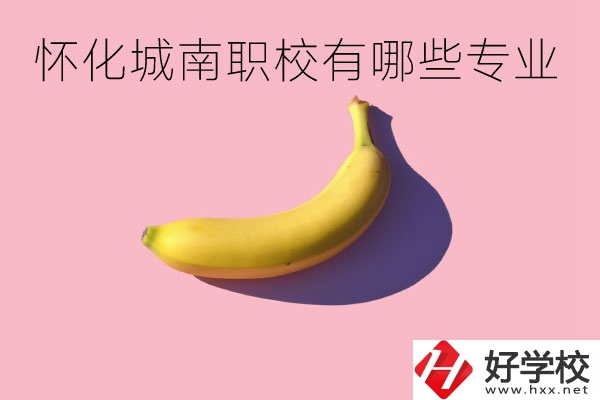 懷化城南職業(yè)學(xué)校有哪些專業(yè)？學(xué)校好不好？