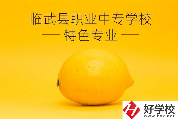 臨武縣職業(yè)中專學(xué)校好嗎？有哪些特色專業(yè)？