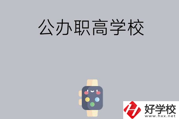 長(zhǎng)沙哪些公辦職高學(xué)校比較有特色？