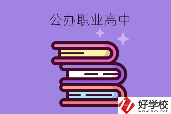 長(zhǎng)沙市有哪些公辦職業(yè)高中學(xué)校？