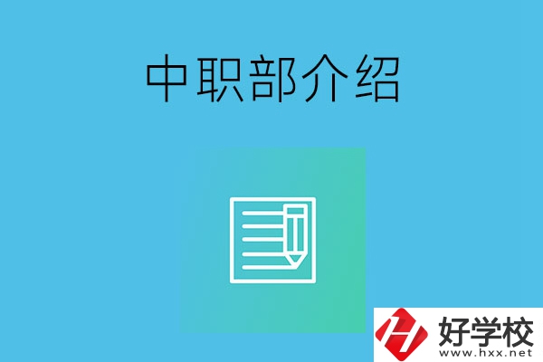 湘潭院校中職部介紹，這幾所學(xué)校你知道嗎？