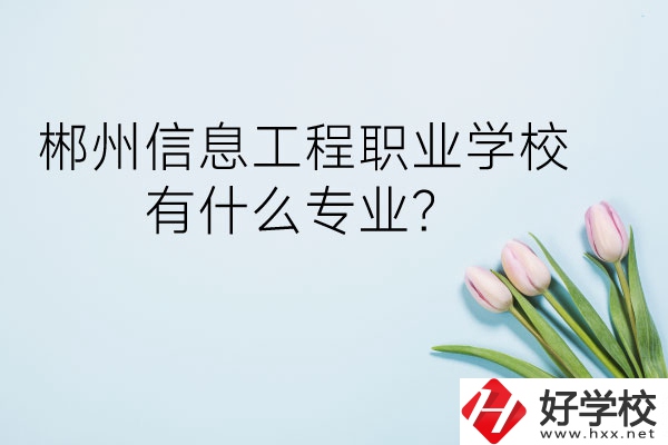 郴州信息工程職業(yè)學校有什么專業(yè)？