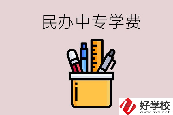 湘潭的民辦中專學(xué)校學(xué)費(fèi)多少錢一年？