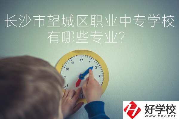 長沙市望城區(qū)職業(yè)中等專業(yè)學(xué)校有哪些專業(yè)？